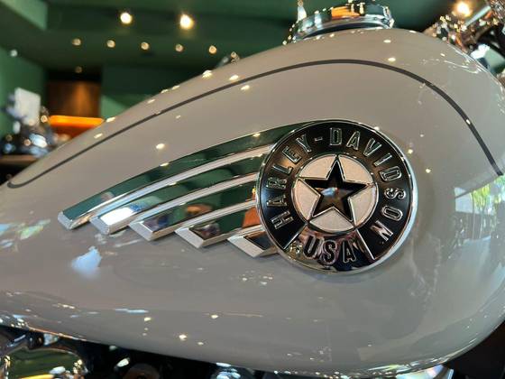 HARLEY-DAVIDSON SOFTAIL FAT BOY 117 HARLEY-DAVIDSON SOFTAIL FAT BOY 117